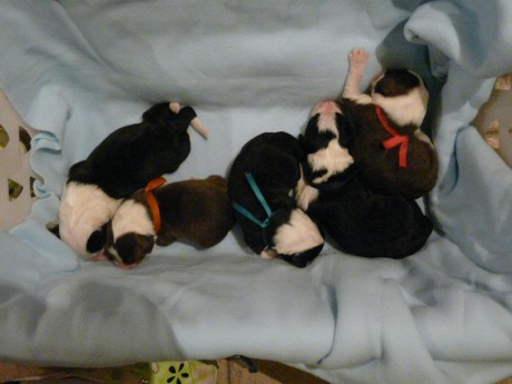 a tady jsou dohromady